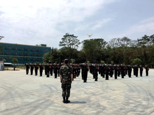 赤峰市維安保安電話號(hào)碼-第1張圖片