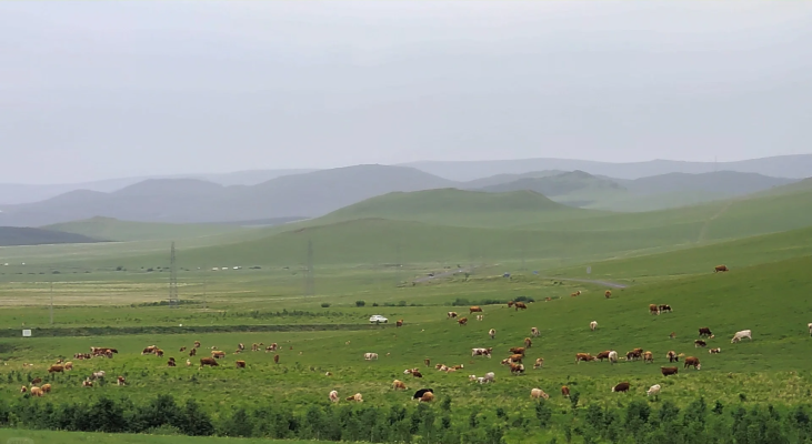 錦州到赤峰汽車(chē)電話(huà)多少號(hào)-第1張圖片