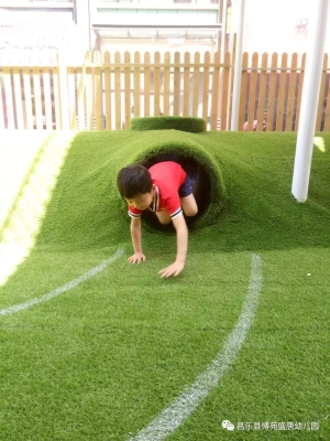 赤峰博苑幼兒園電話號(hào)碼-第1張圖片