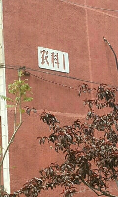 赤峰市農(nóng)研所電話號(hào)碼-第1張圖片