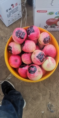 赤峰蘋果拋光布廠家電話號(hào)碼-第1張圖片