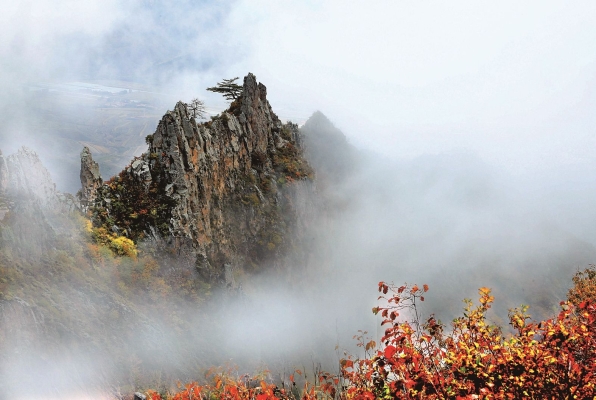 赤峰久尊定制電話號碼查詢-第1張圖片