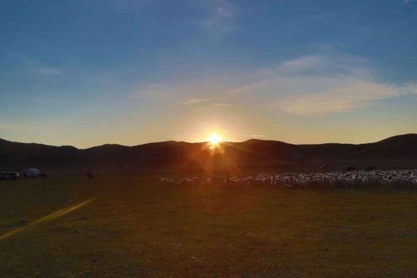 赤峰24小時洗衣烘干電話號碼-第1張圖片