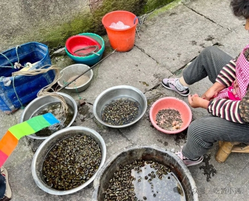 赤峰水母擺攤電話地址是多少號-第1張圖片