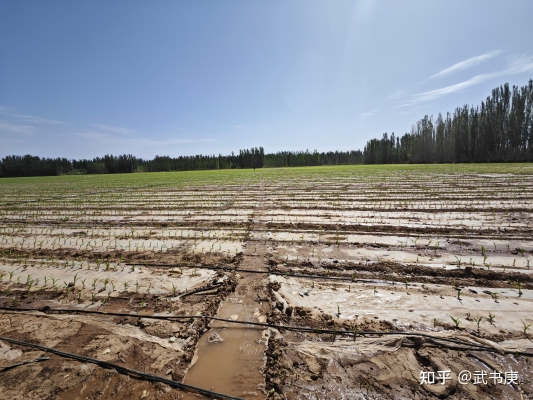 赤峰宰牛羊屠宰場電話號碼-第1張圖片