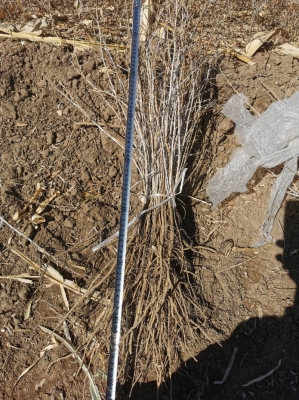 赤峰廢機油出售電話號碼查詢-第1張圖片