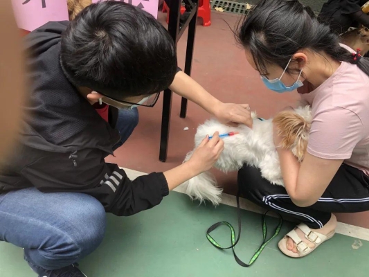 赤峰狂犬疫苗站電話號(hào)碼是多少-第1張圖片