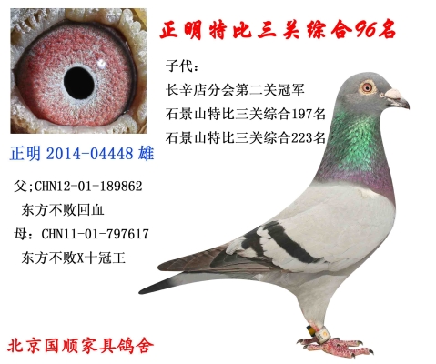 赤峰中信國金電話號碼查詢-第1張圖片