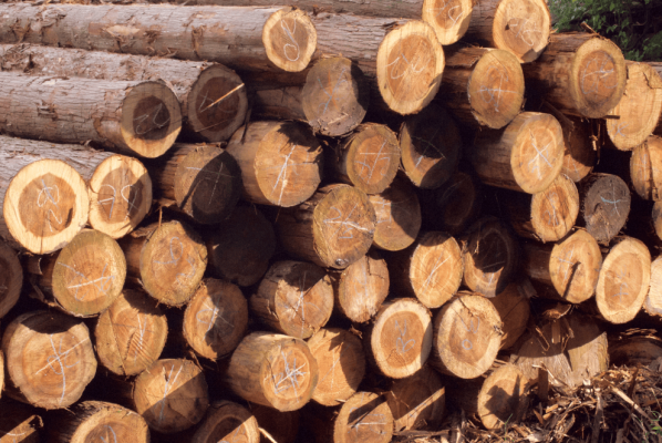 赤峰檜木團(tuán)購(gòu)電話號(hào)碼查詢-第1張圖片