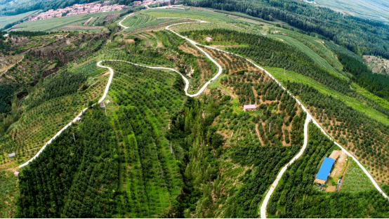 赤峰寧城火車站客服電話是多少-第1張圖片