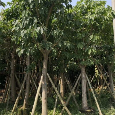 赤峰榕騰汽修廠電話號(hào)碼-第1張圖片