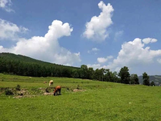 呼市去赤峰的順風(fēng)車電話號(hào)碼-第1張圖片