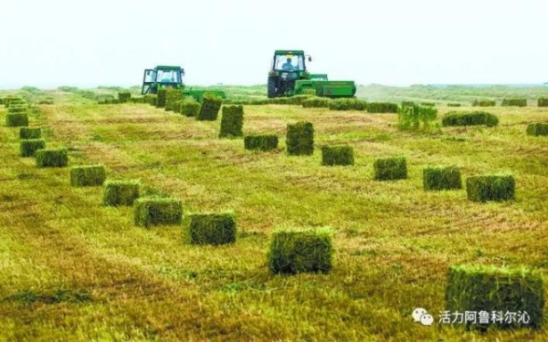 赤峰日?qǐng)?bào)生活版電話查詢號(hào)碼-第1張圖片