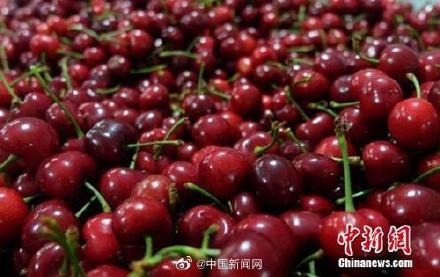 赤峰銷售進(jìn)口水果電話號(hào)碼-第1張圖片