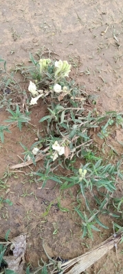 赤峰松山區(qū)收廢品電話號(hào)碼-第1張圖片