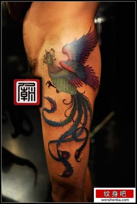 赤峰鳳凰紋身店電話多少號-第1張圖片