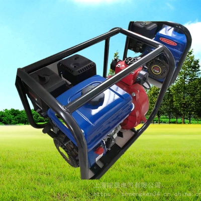 赤峰進口汽油泵廠家電話號碼-第1張圖片