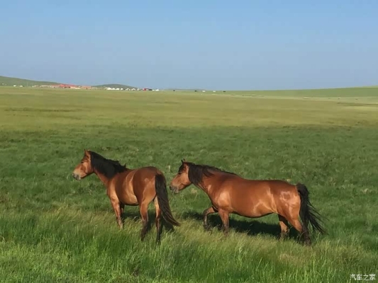 赤峰乃林熟食店電話(huà)號(hào)碼-第1張圖片