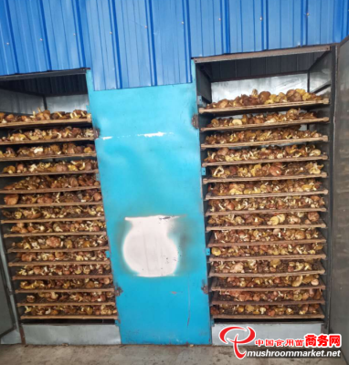 赤峰蘑菇廠家聯(lián)系電話號碼-第1張圖片