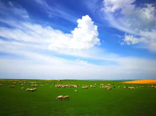 赤峰貢格爾拼車電話號碼-第1張圖片