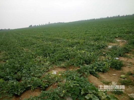 赤峰至敖漢拼車(chē)電話(huà)號(hào)碼-第1張圖片