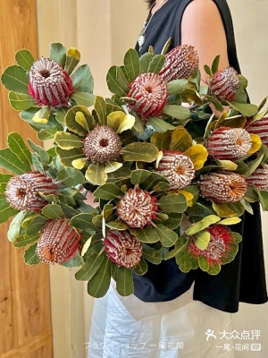 赤峰花間美學花卉店電話號碼-第1張圖片