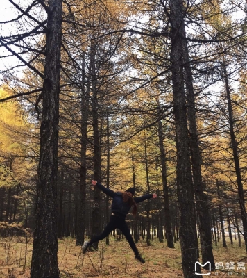 內(nèi)蒙赤峰佳佳物流電話查詢地址-第1張圖片