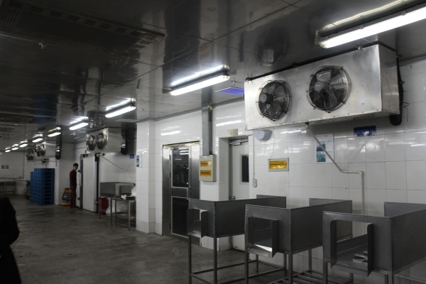 赤峰冷庫(kù)賣牛肉的地方電話號(hào)碼-第1張圖片