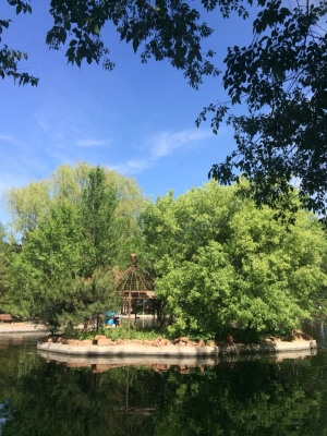 內(nèi)蒙赤峰小悠悠電話號(hào)碼是多少-第1張圖片