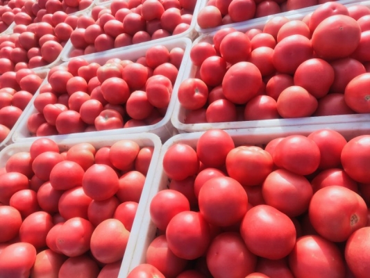 赤峰瑩佳超市地址電話號碼-第1張圖片