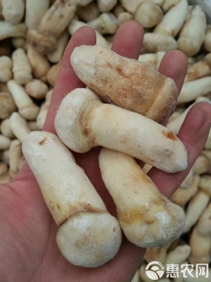 赤峰凍貨批發(fā)商電話號(hào)碼-第1張圖片