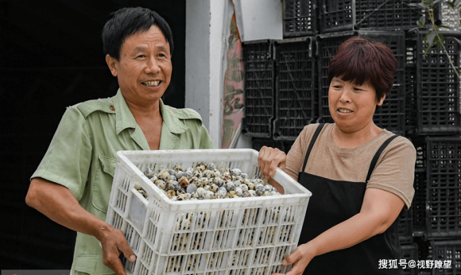 赤峰淘汰母牛養(yǎng)殖廠電話號碼-第1張圖片