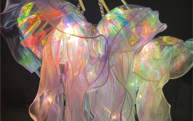 赤峰水母擺攤電話號碼查詢是多少-第1張圖片