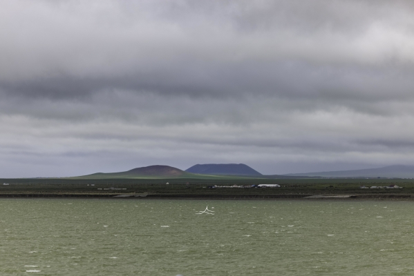 赤峰新城水產(chǎn)店電話號碼查詢-第1張圖片