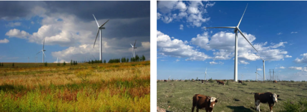 赤峰新能源商超電話地址查詢-第1張圖片