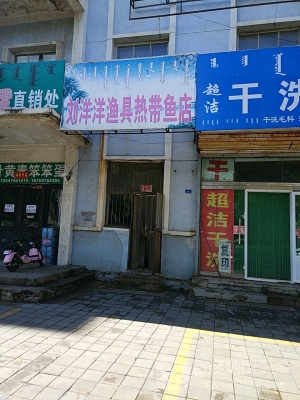 赤峰紅山干洗店地址電話號碼-第1張圖片