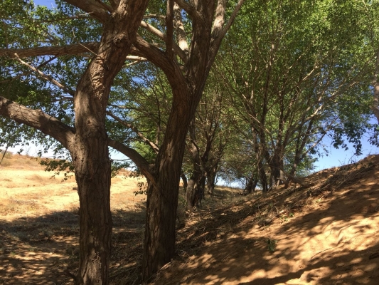 赤峰松山區(qū)古城社區(qū)電話是多少-第1張圖片