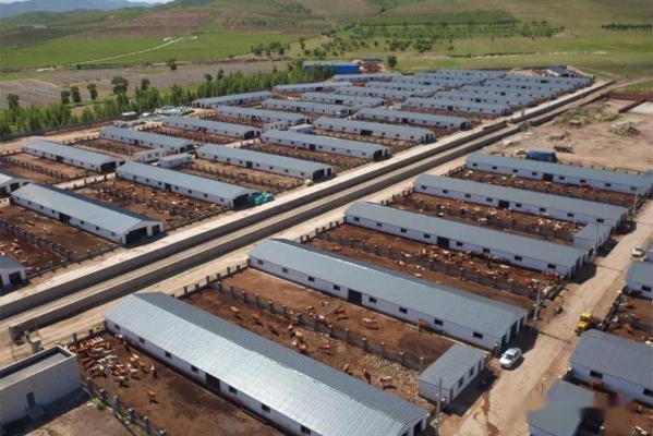 赤峰回林西網(wǎng)約車電話號碼-第1張圖片