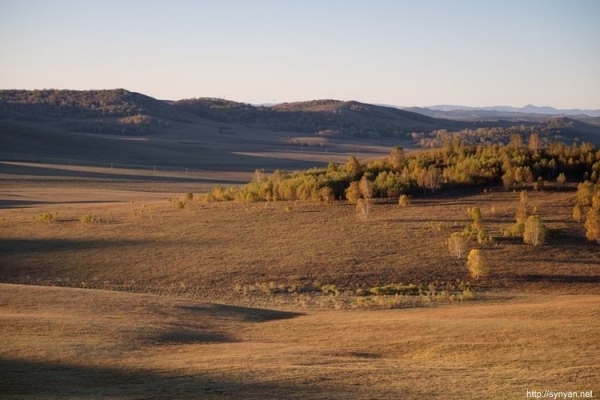 赤峰樺樹林市場電話多少號-第1張圖片