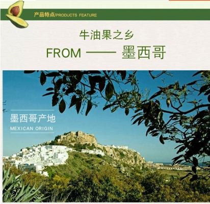 赤峰西餐凍貨批發(fā)電話號(hào)碼-第1張圖片