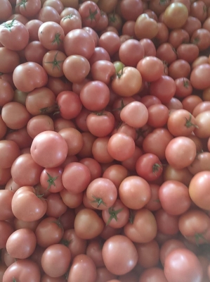 赤峰敖漢鴨脖店電話號(hào)碼-第1張圖片