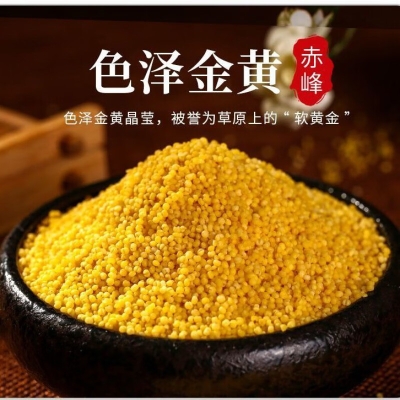 赤峰小米凈水機售后電話號碼-第1張圖片