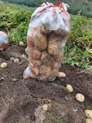 赤峰土豆批發(fā)電話號(hào)碼多少-第1張圖片