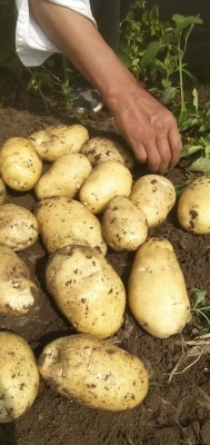 赤峰蛋撻皮批發(fā)電話號碼-第1張圖片