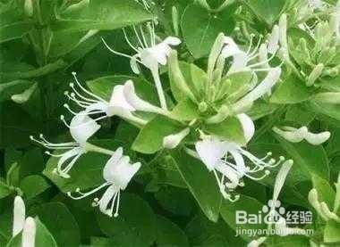 赤峰治咽炎診所電話多少號-第1張圖片