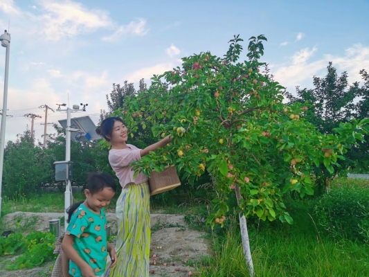 赤峰市天山采摘園電話號(hào)碼-第1張圖片