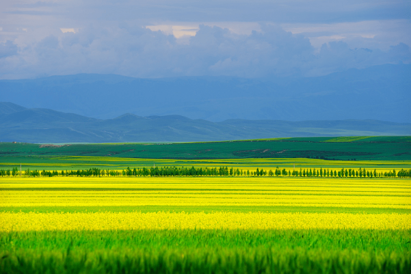 天山到赤峰機(jī)票-第1張圖片