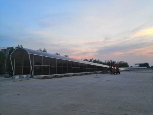 赤峰陽光板廠家電話號碼-第1張圖片