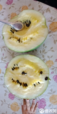 赤峰批發(fā)打瓜機廠家電話號碼-第1張圖片