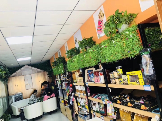 赤峰萱姿美容電話號碼查詢是多少-第1張圖片